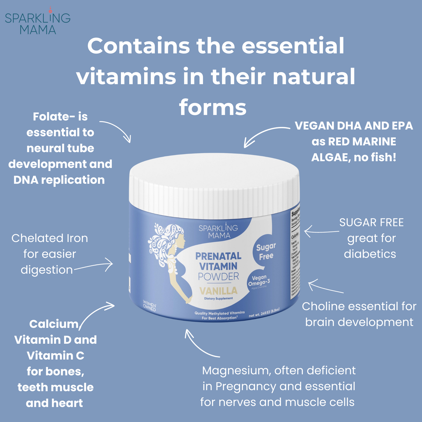 Complete Prenatal vitamin Smoothie Powder